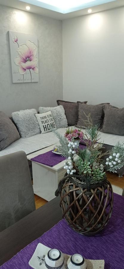 Apartman Harmonija Vrnjačka Banja 외부 사진