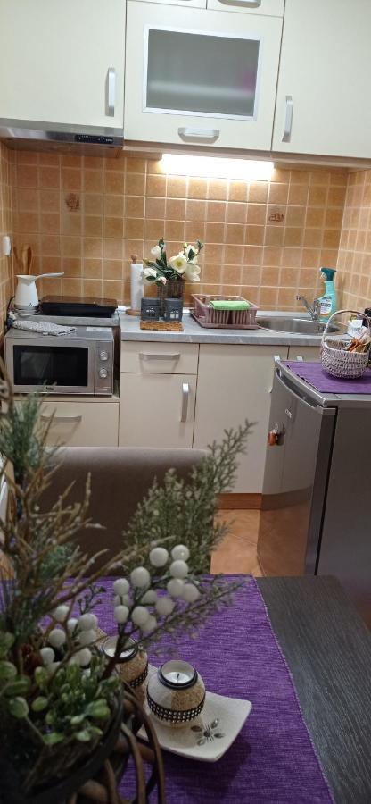 Apartman Harmonija Vrnjačka Banja 외부 사진